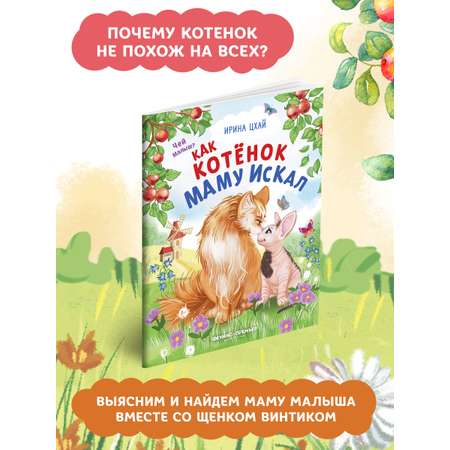 Книга Феникс Премьер Как котенок маму искал