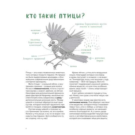 Книга Эксмо Птицы в деревне. Где найти и как узнать