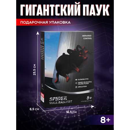 Паук РУ AUTODRIVE ползает по стенам и потолку
