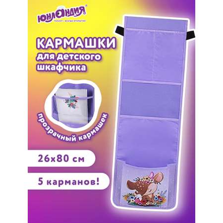 Органайзер Юнландия для шкафчика