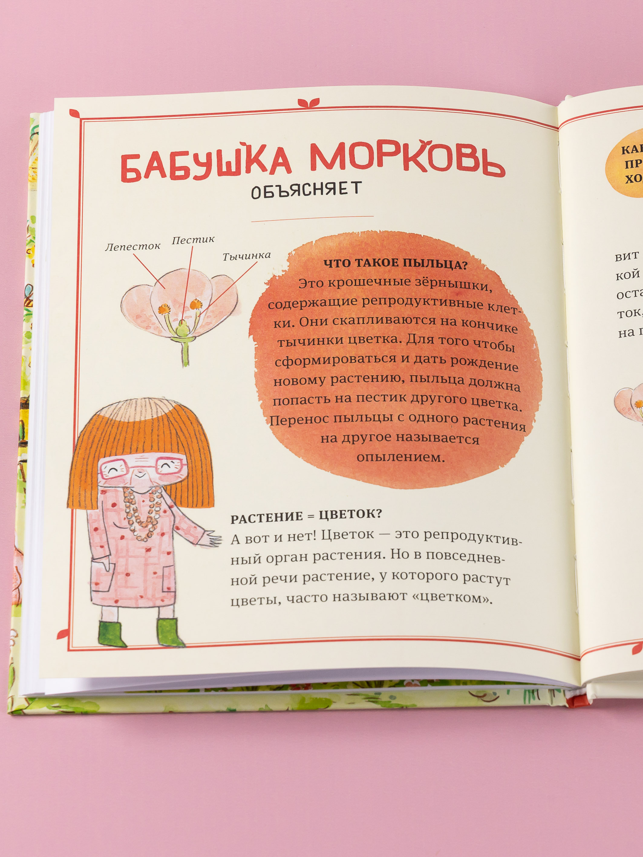 Книга Альпина. Дети В саду Базилика Умеют ли растения любить - фото 14