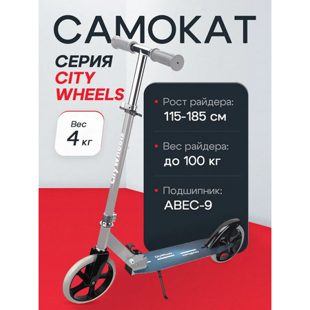 Самокат Рыжий кот двухколесный