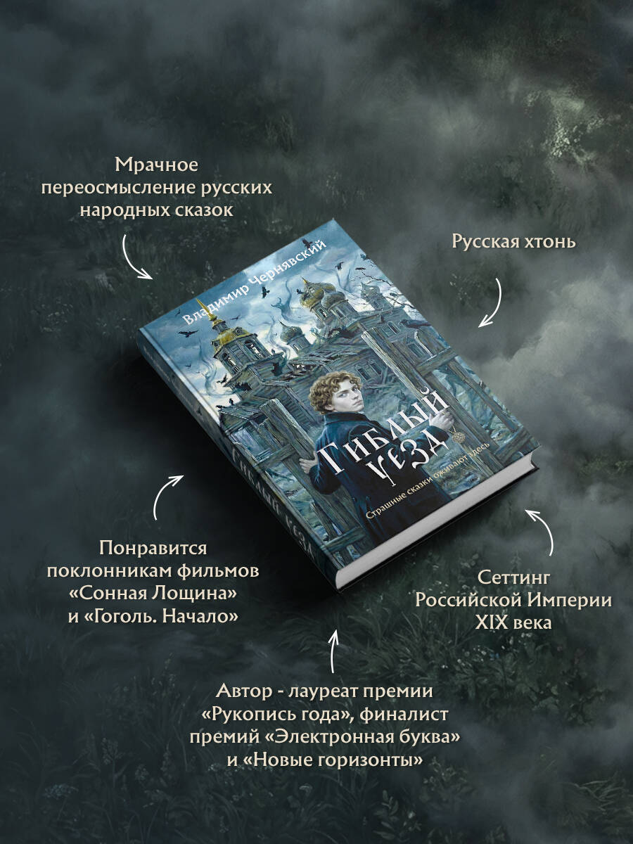Книга Эксмо Гиблый уезд - фото 3