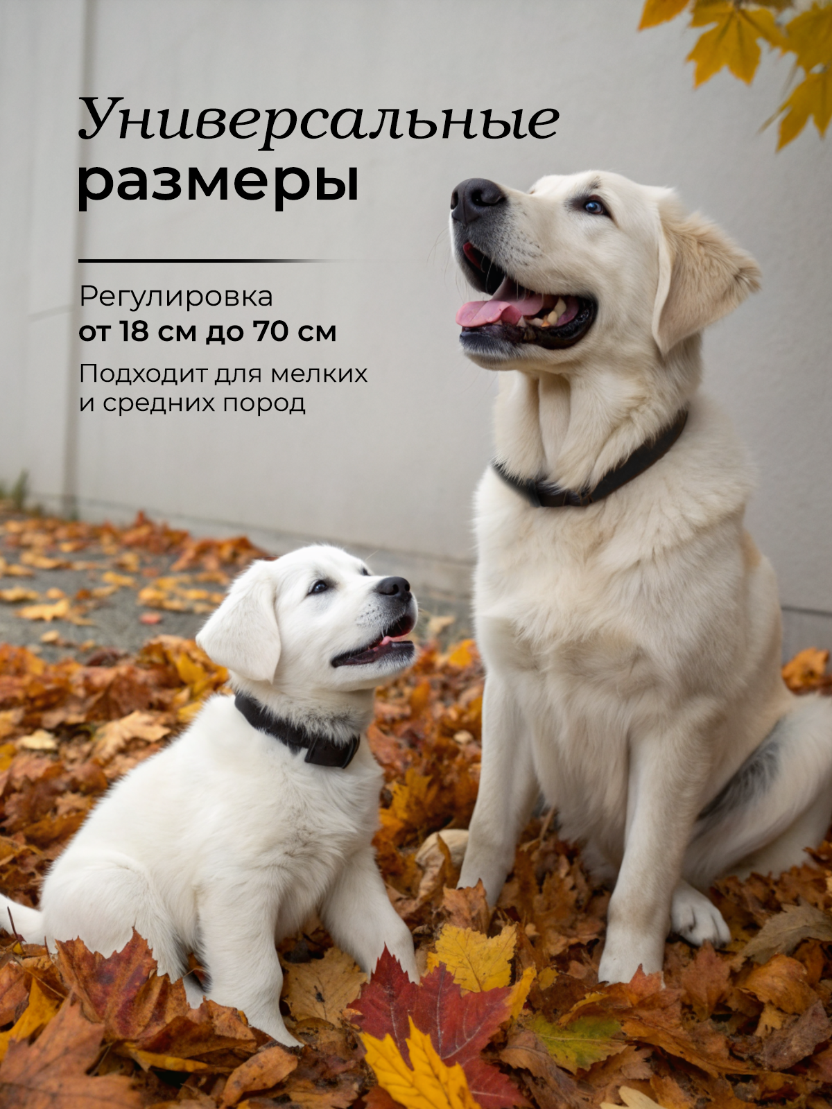 Ошейник для собак SuperPets электронный дрессировочный - фото 6