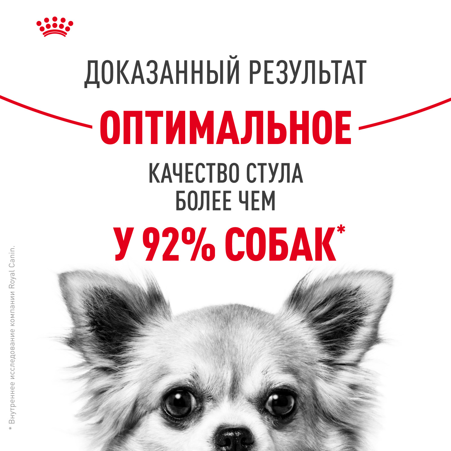 Корм для собак ROYAL CANIN Mini Digestive Care мелких пород с чувствительным пищеварением 1кг - фото 4
