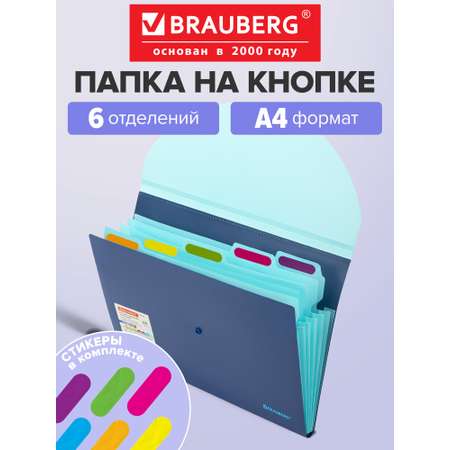 Папка-органайзер Brauberg синяя с голубым А4