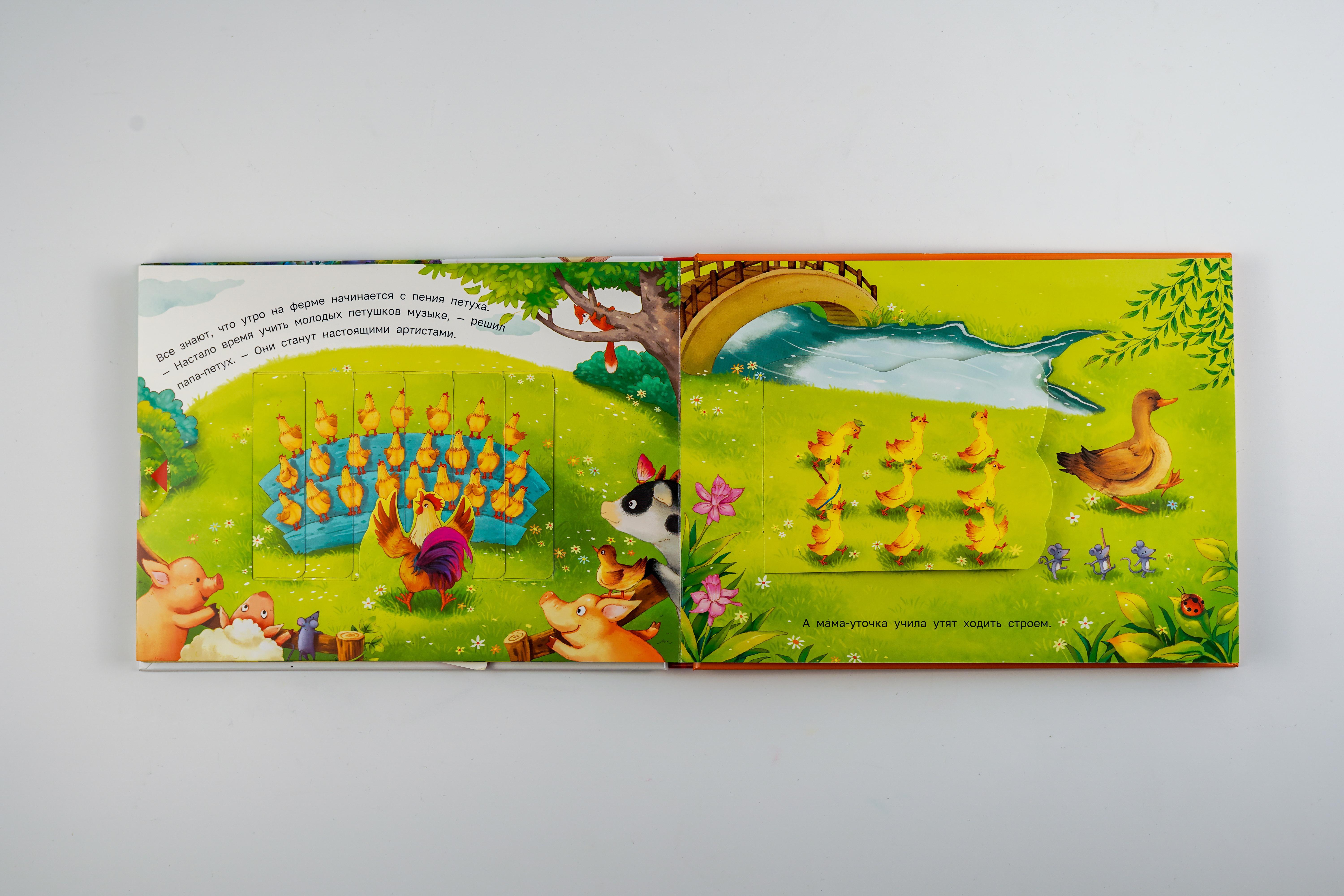 Книга АСТ Приключения на ферме - фото 3