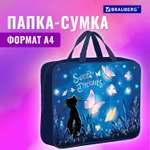 Папка для тетрадей Brauberg А4
