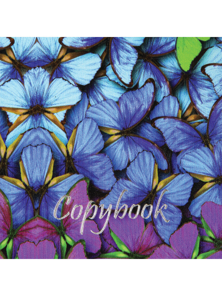 Общая тетрадь Brauberg клетка 80 лист. - фото 10