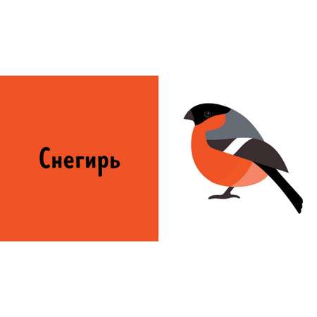 Книга Clever 9 книжек-кубиков В мире животных