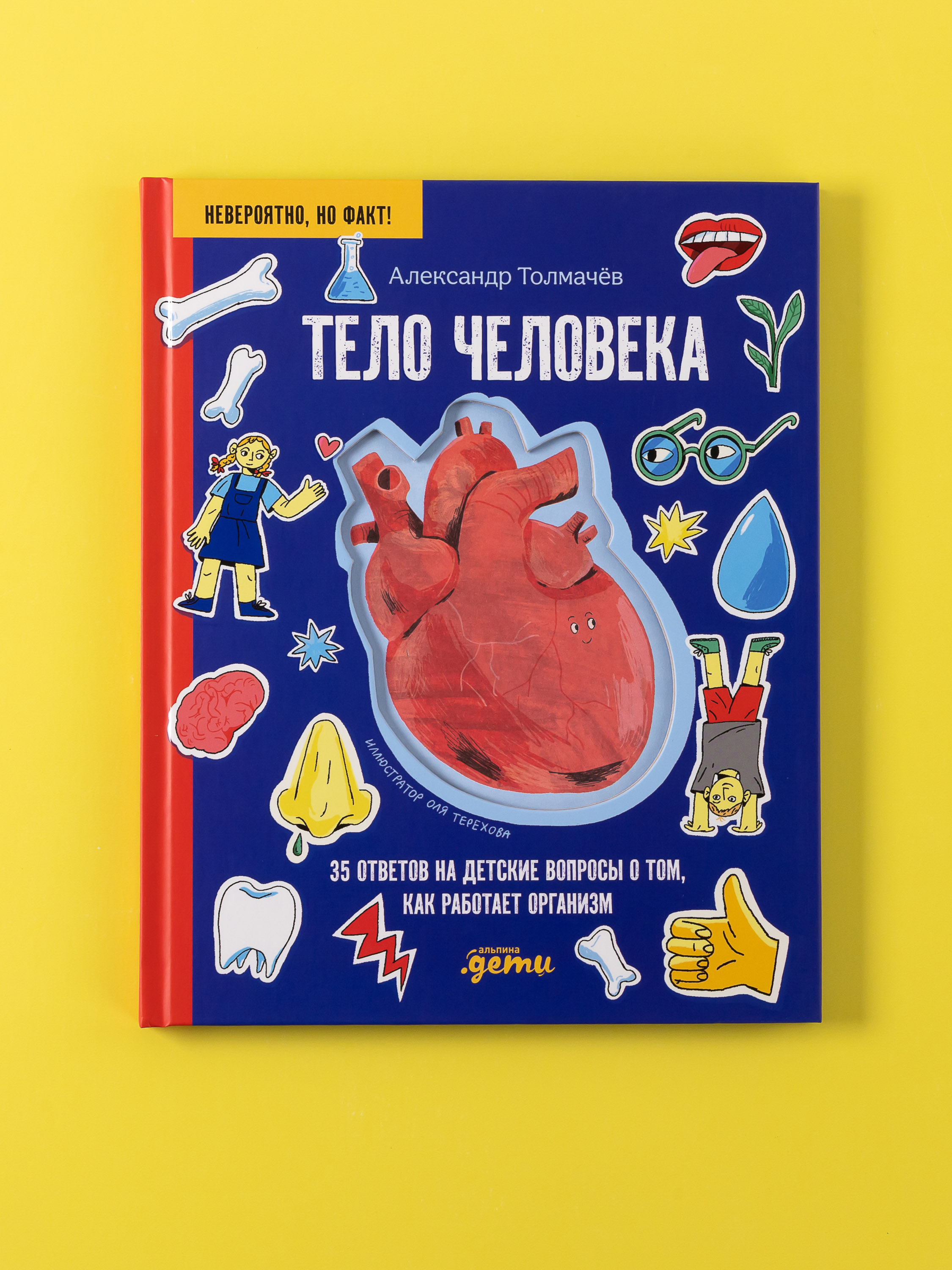 Книга Альпина. Дети Тело человека 35 ответов на детские вопросы - фото 1