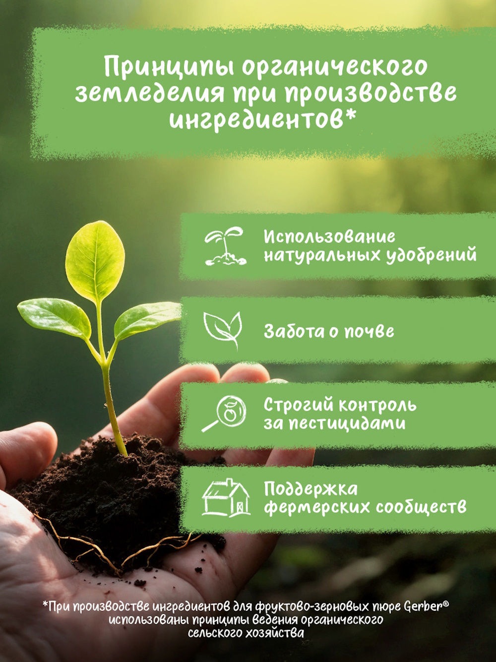Овсяная каша Gerber Яблоко манго 110г - фото 7