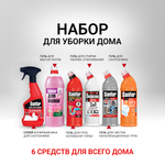 Чистящее средство Sanfor Набор 4450 мл 6 упак.