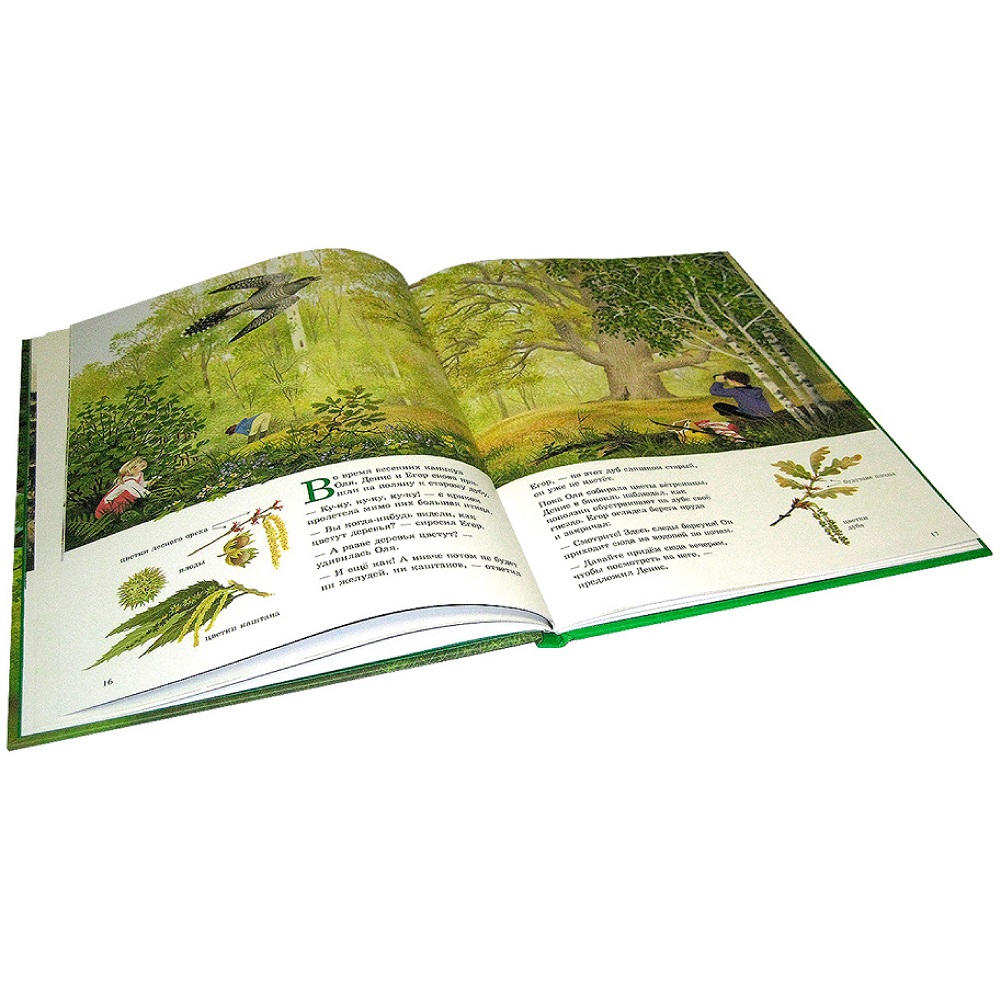 Книга Добрая книга Наше дерево. Иллюстрации Герды Мюллер - фото 4