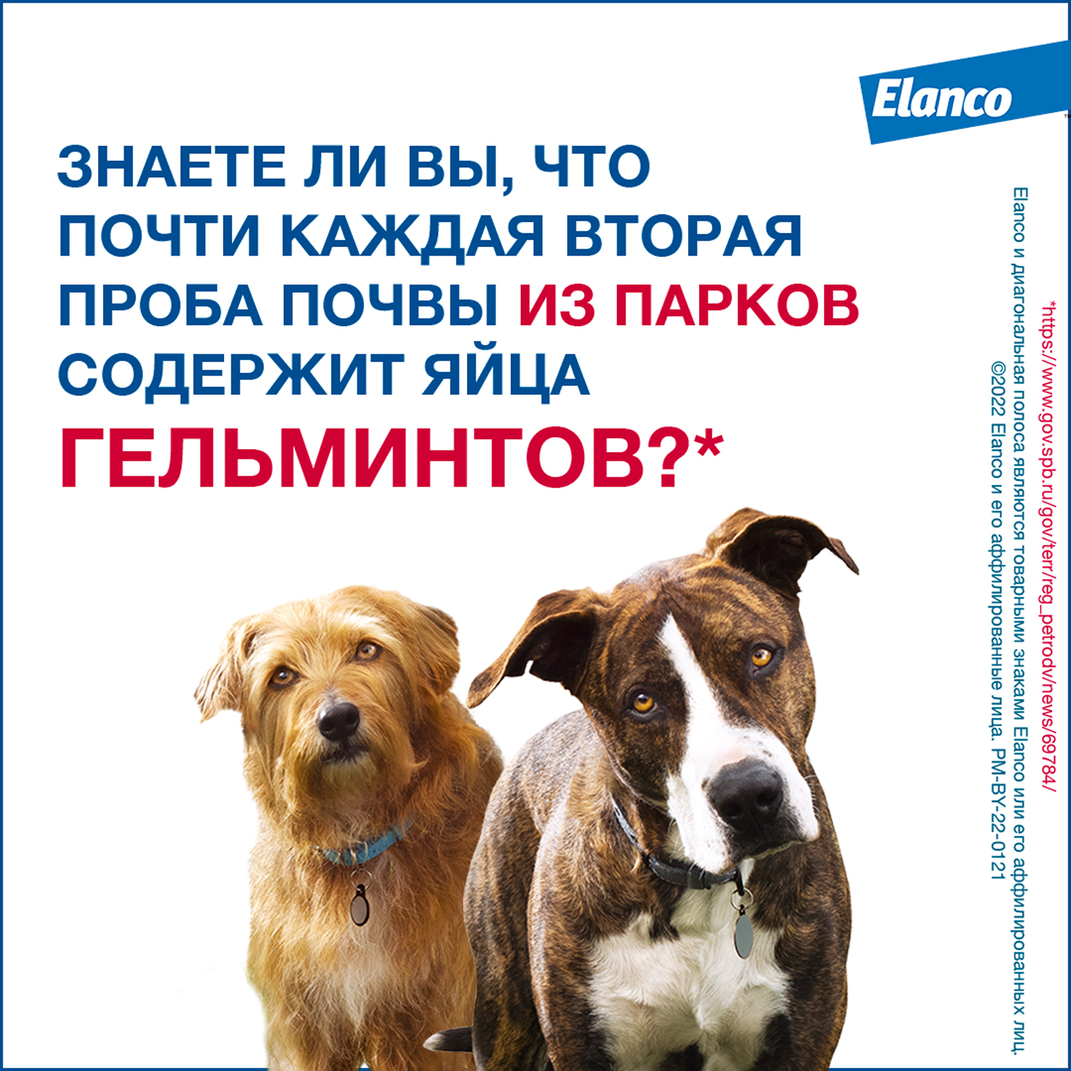 Антигельминтик для щенков и собак Elanco Мильбемакс малых пород 2таблетки - фото 3