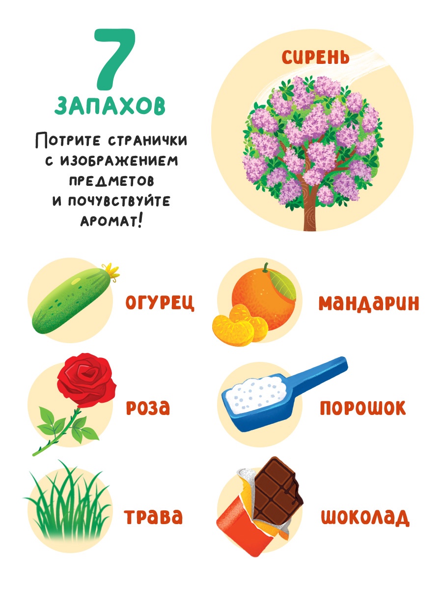 Картонная книга Буква-ленд с окошками Чем пахнет всё вокруг 7 ароматов - фото 7