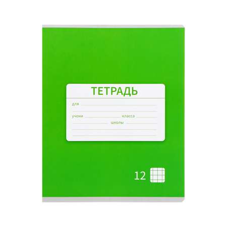 Тетрадь Calligrata клетка