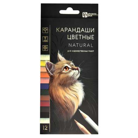 Карандаши цветные Феникс + 12 шт.