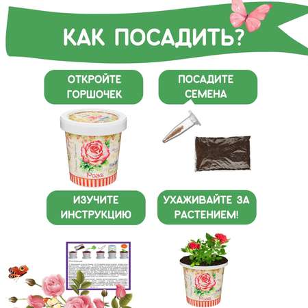 Набор для выращивания Rostok Visa
