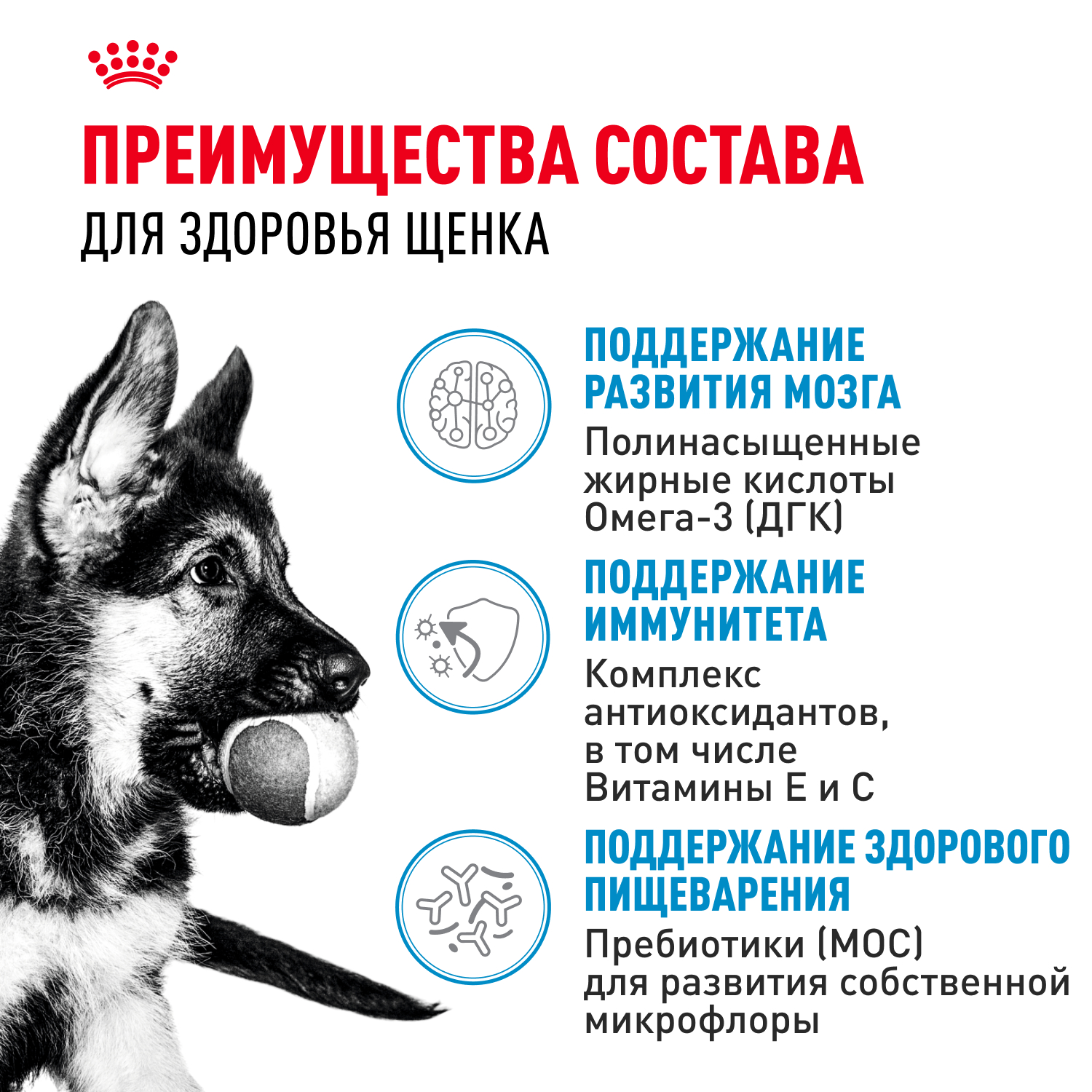 Корм для щенков влажный ROYAL CANIN Maxi Puppy для крупных пород в возрасте до 15 месяцев соус 100г - фото 3
