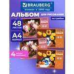 Альбом Brauberg А4 48 лист. 4 шт.