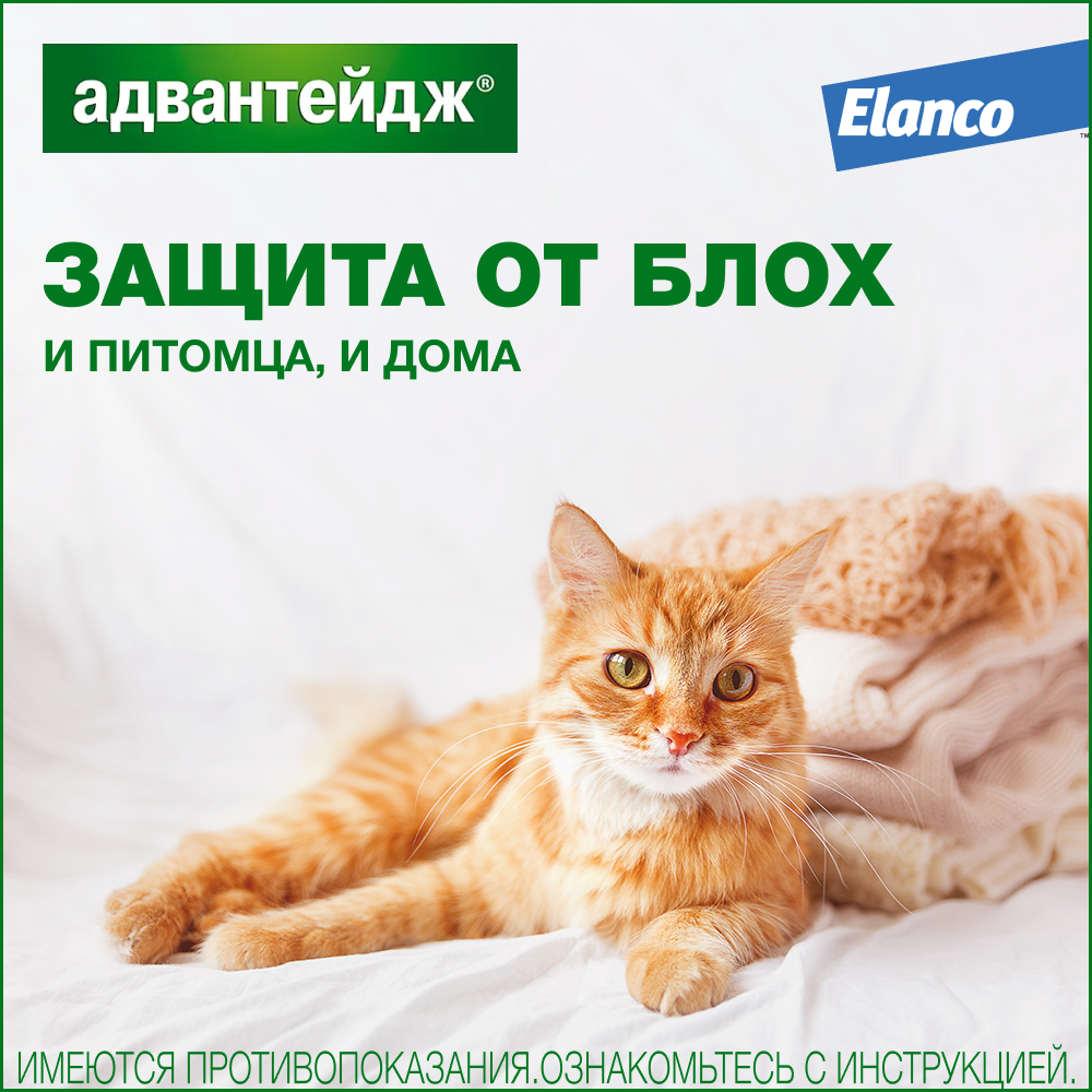 Капли для кошек Elanco Адвантейдж против блох 1пипетка - фото 6