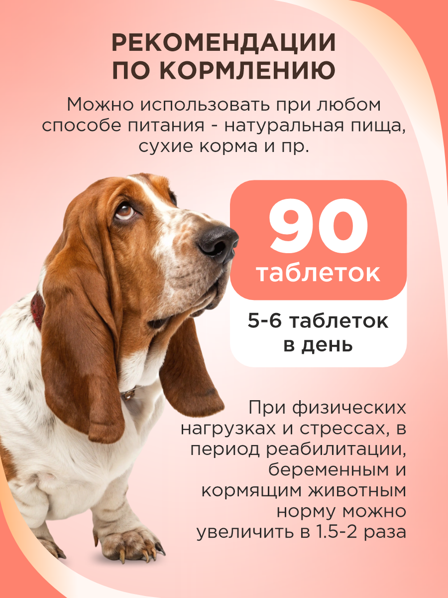 Полезное лакомство для собак GOODR DOG со вкусом норвежского лосося 90 таб. - фото 7