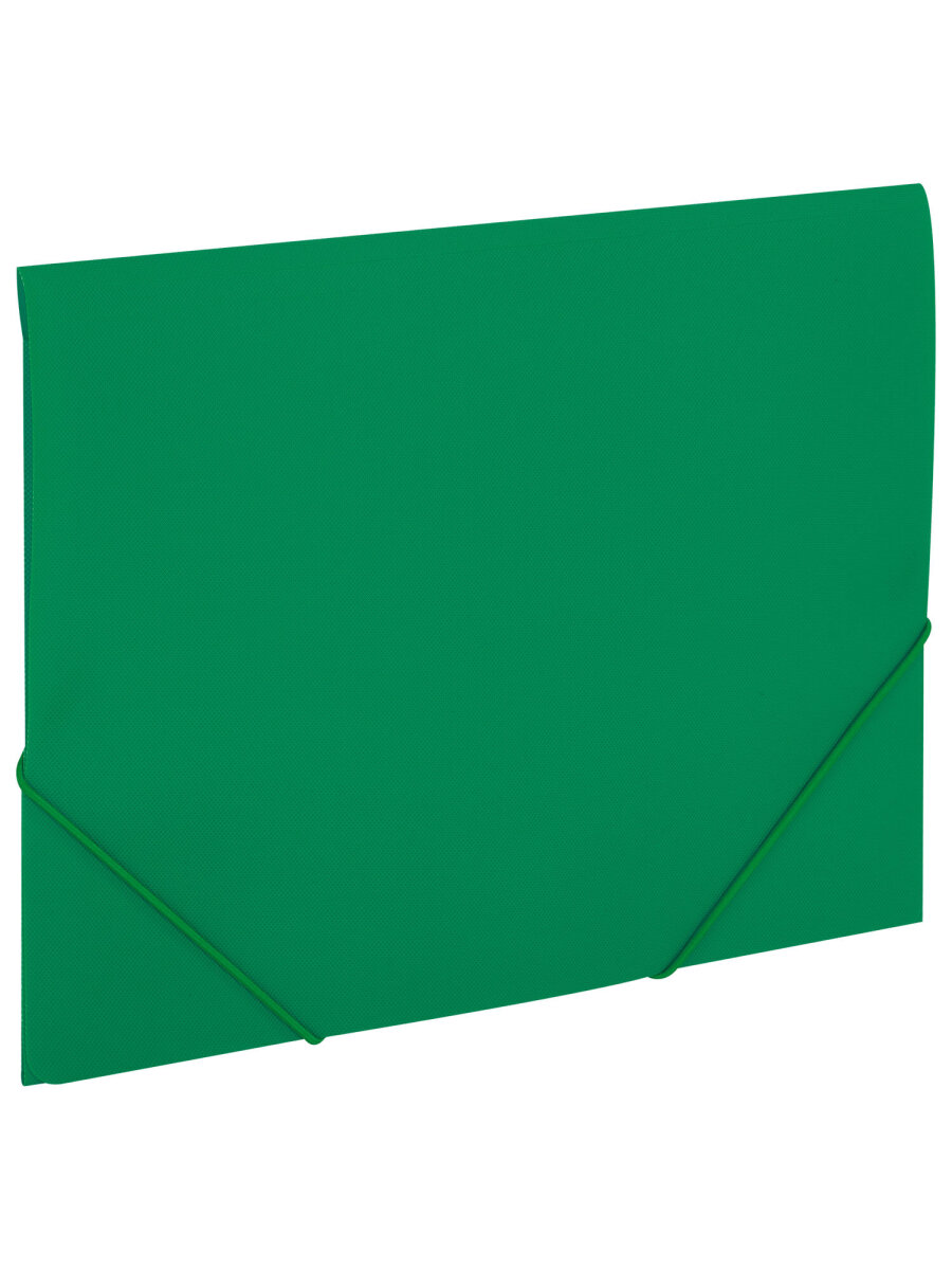 Папка для тетрадей Brauberg на резинках А4 - фото 2