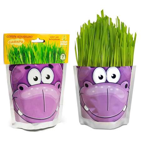 Набор для выращивания Happy Plant