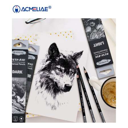 Карандаши угольные ACMELIAE Ligth 12 штук