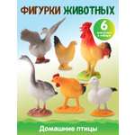 Игровой набор DARWIN Животные Домашние птицы 6шт
