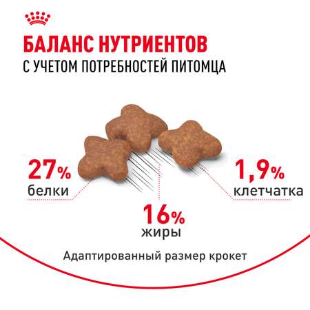 Корм для собак ROYAL CANIN мелких пород 8кг