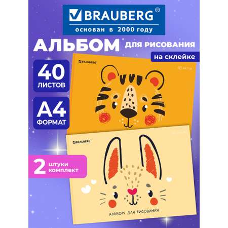 Альбом Brauberg А4 40 лист. 2 шт.