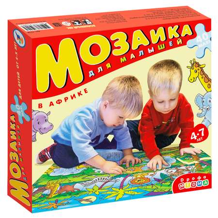Напольная мозаика Дрофа-Медиа