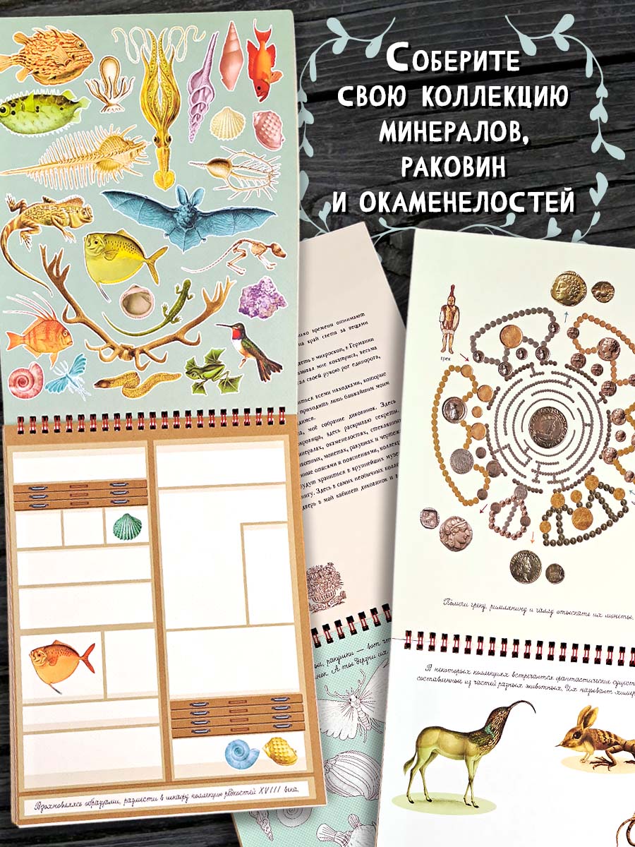 Книга Лабиринт Моя удивительная коллекция Диковинки и редкости - фото 2