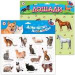 Игрушка Дрофа-Медиа