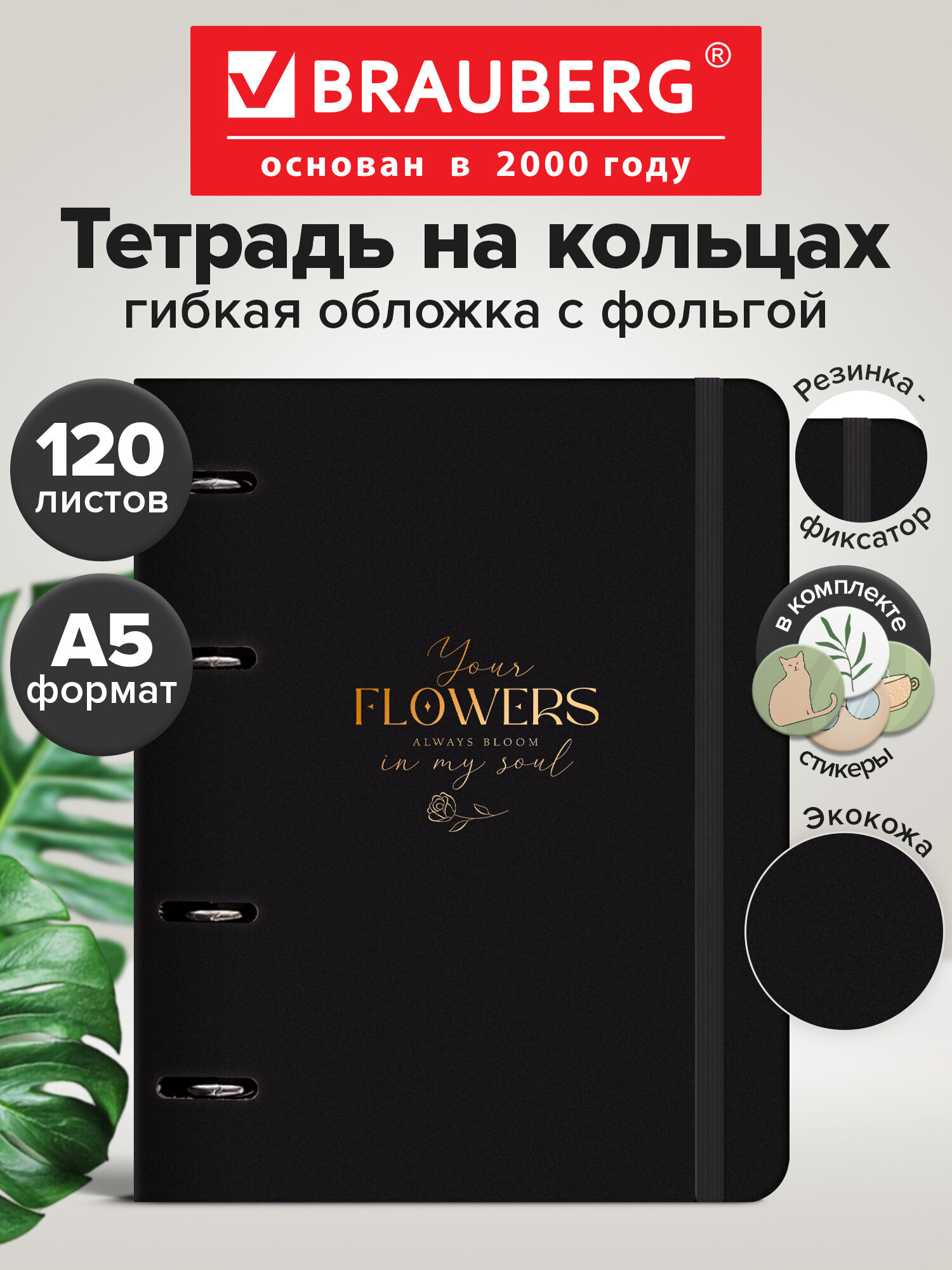 Изображение товара Тетрадь со сменным блоком Brauberg Classic А5 120 листов клетка Изображение товара Тетрадь со сменным блоком Brauberg Classic А5 120 листов клетка