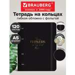 Тетрадь со сменным блоком Brauberg клетка 120 лист.