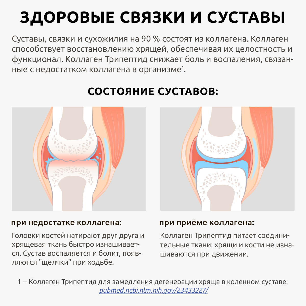 Коллаген морской порошок UltraBalance низкомолекулярный БАД 60 саше с витамином С и гиалуроновой кислотой - фото 13