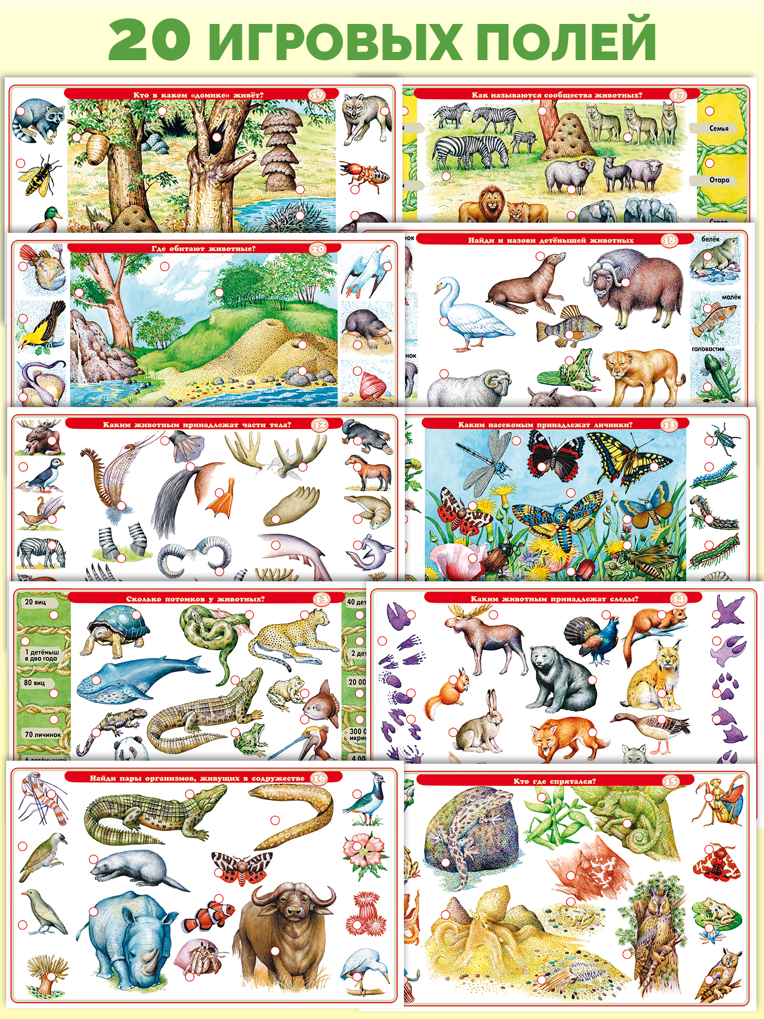 Настольная игра Дрофа-Медиа Электровикторина - фото 3