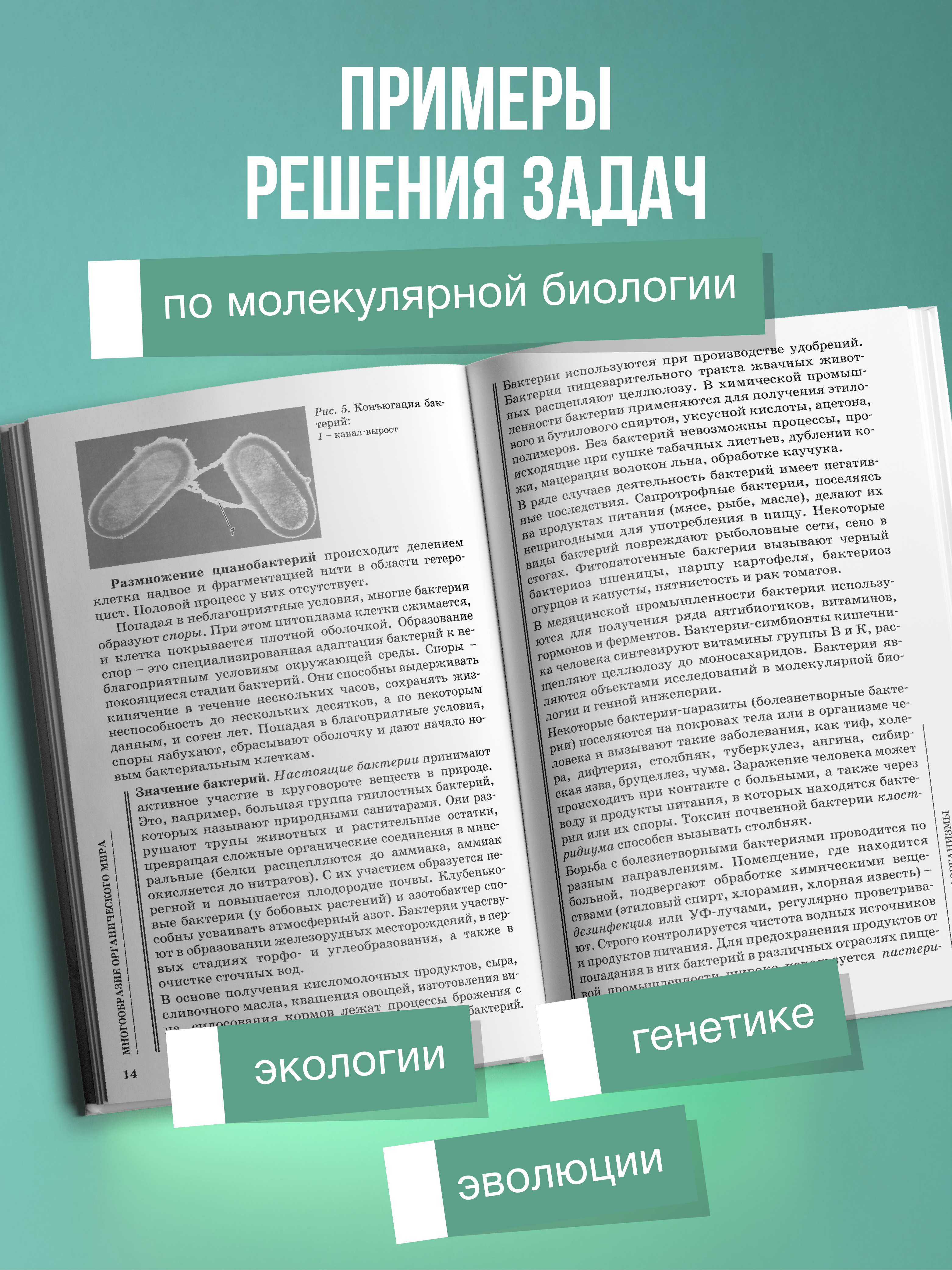 Биология для поступающих в вузы Феникс Книга - фото 7