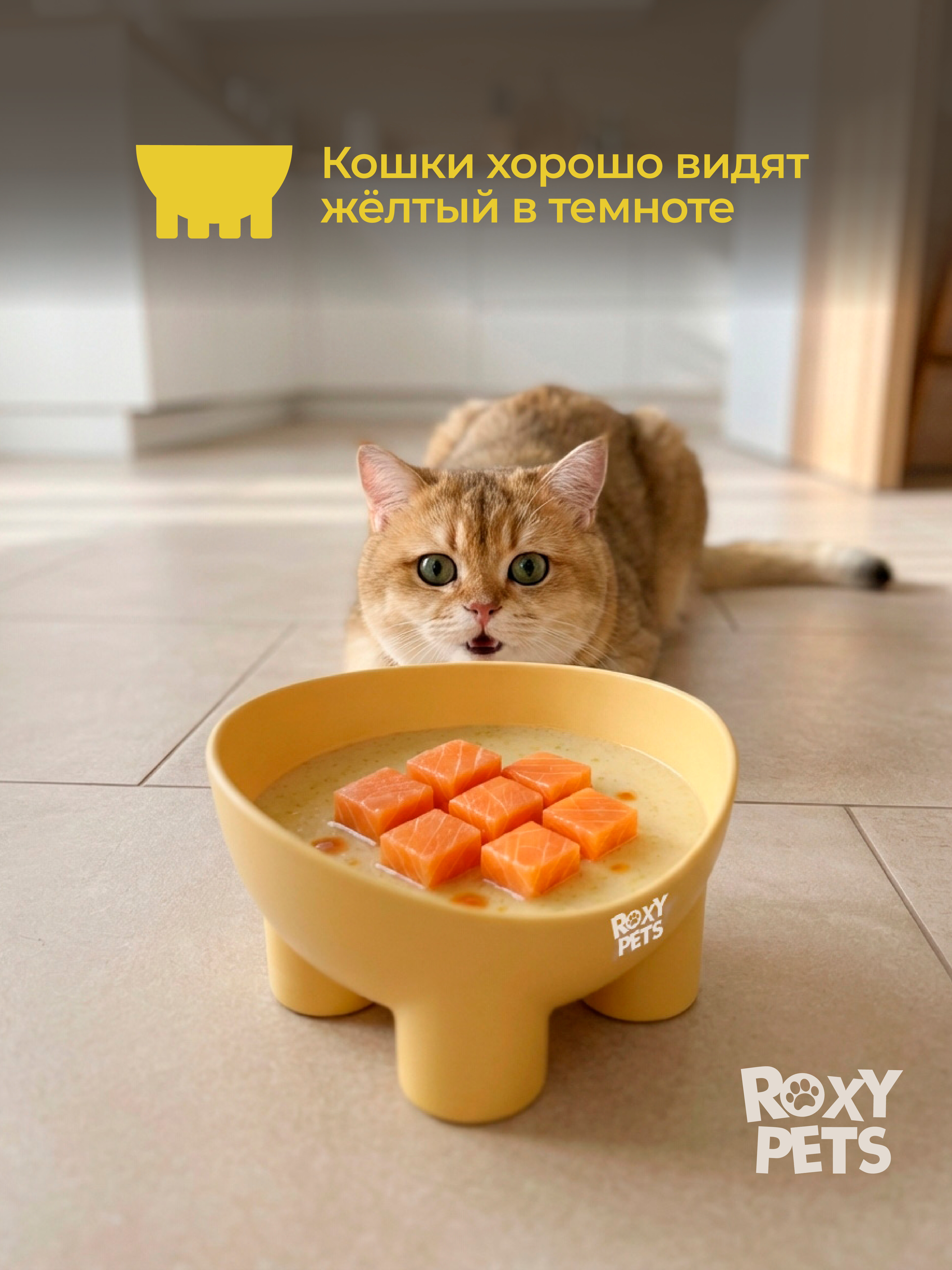 Миска для кошек и собак ROXY PETS 300мл - фото 5