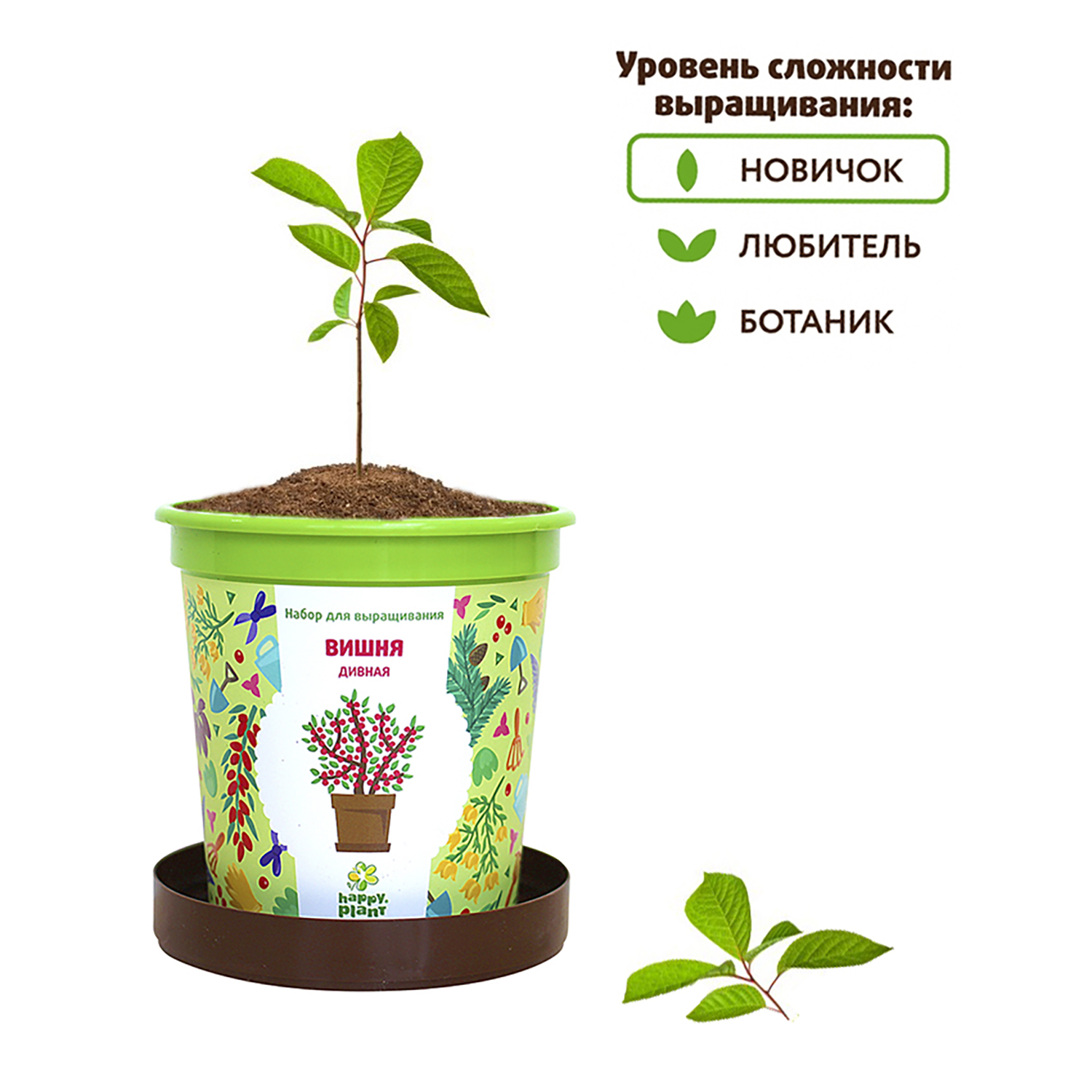 Набор для выращивания Happy Plant - фото 5