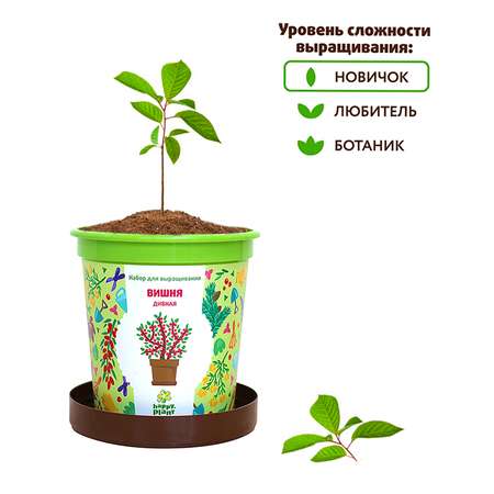 Набор для выращивания Happy Plant