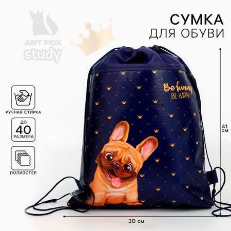 Мешок для обуви ArtFox STUDY