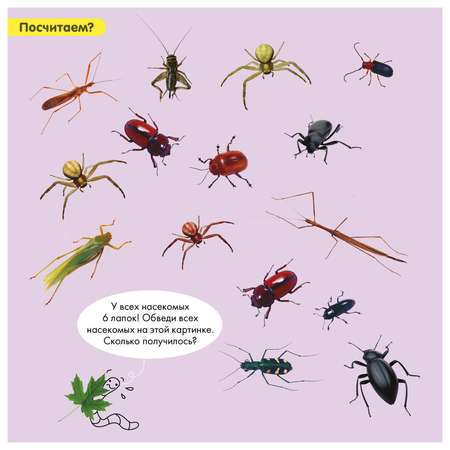 Книга Clever Суперзнатоки 5-6лет Учение-развлечение Блокнот с весёлыми развивающими играми