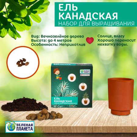 Набор для выращивания ЗЕЛЕНАЯ ПЛАНЕТА