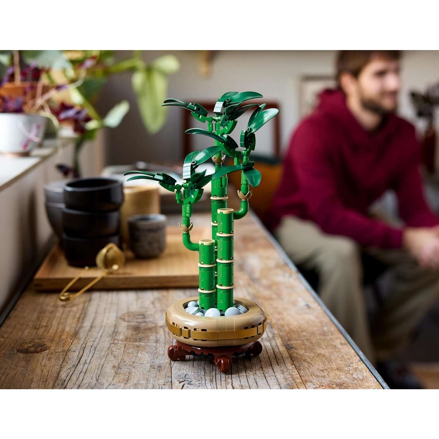 Конструктор LEGO Botanicals Бамбук Символ удачи - фото 7
