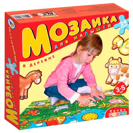 Напольная мозаика Дрофа-Медиа