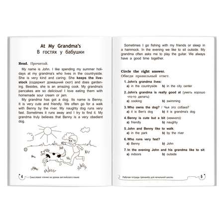 Книга Феникс Смысловое чтение на уроках английского языка